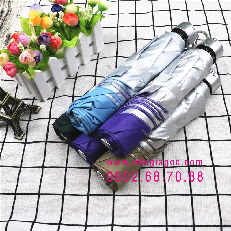 Thành phố với bầu trời ô dù