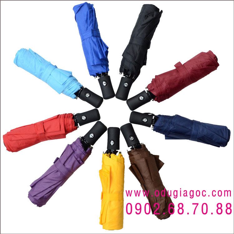 du_gap_2_tu_dong_2_chieu